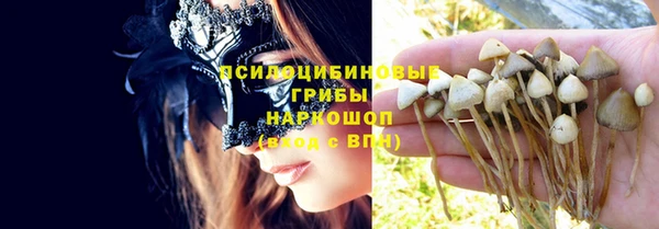 меф Белокуриха